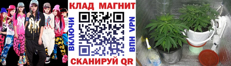 Купить закладку А ПВП МАРИХУАНА Меф ГАШ Кокаин Мантурово