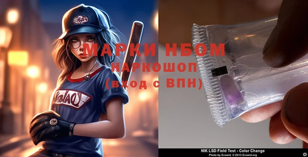 дживик Бородино