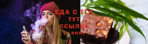 дживик Бородино