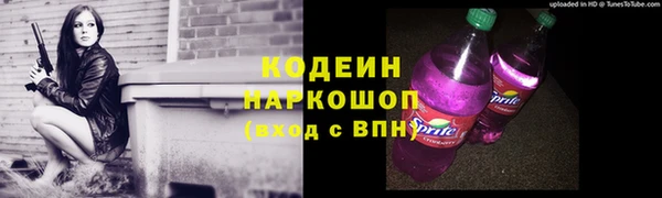 дживик Бородино