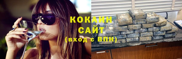 дживик Бородино