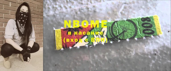 дживик Бородино