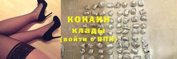 дживик Бородино