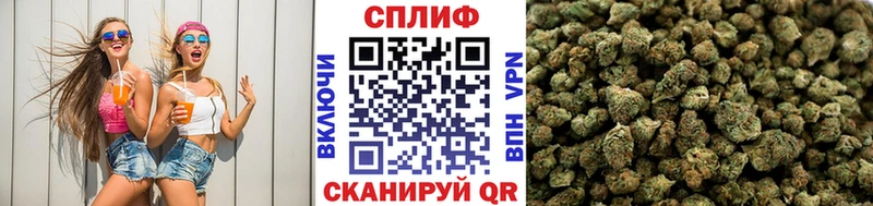 Бошки марихуана VHQ  Купить закладки  Мантурово 